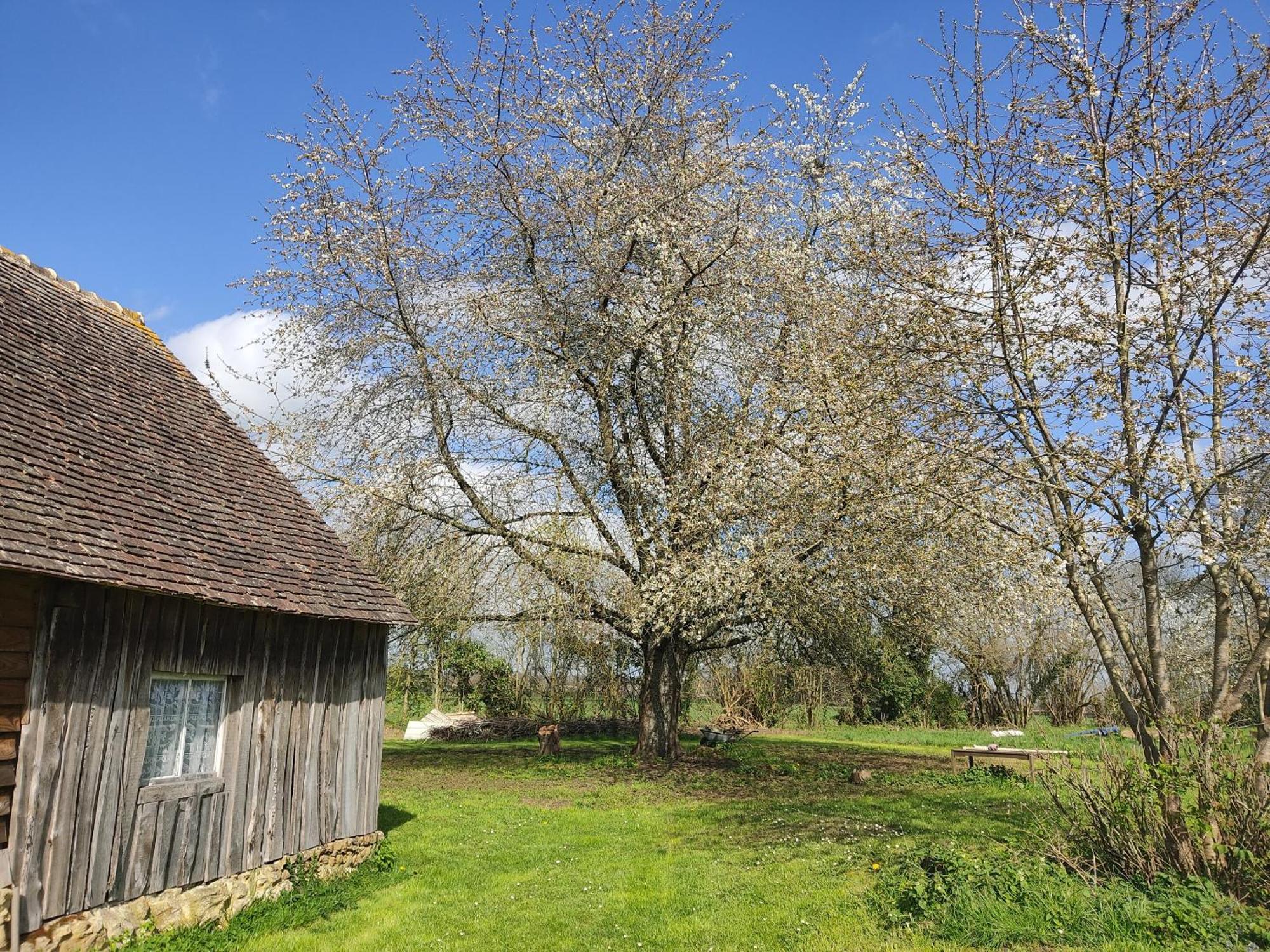 La Valise A Cheval Bed and Breakfast Mezieres-sur-Ponthouin Εξωτερικό φωτογραφία
